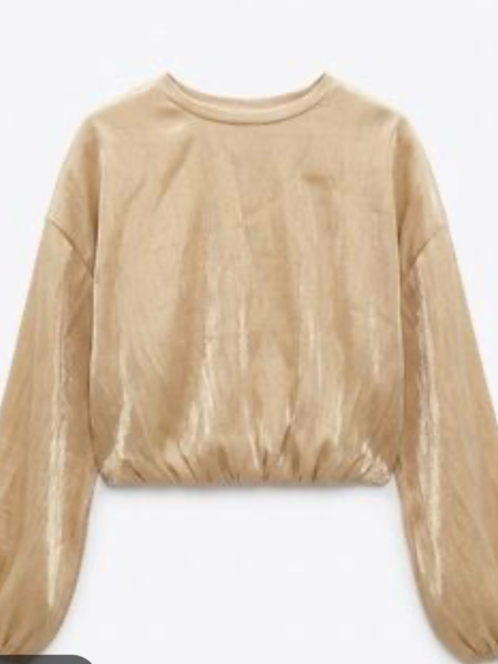 Zara Metallic Beige Cropped Sweatshirt